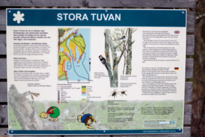 Stora Tuvan